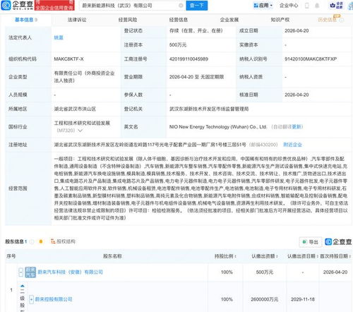 蔚來武漢布局新篇章 成立新能源科技公司，深化AI與軟件開發